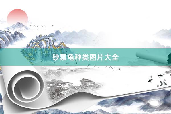 钞票龟种类图片大全